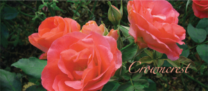 broc7-300x132 Crowncrest Catalog